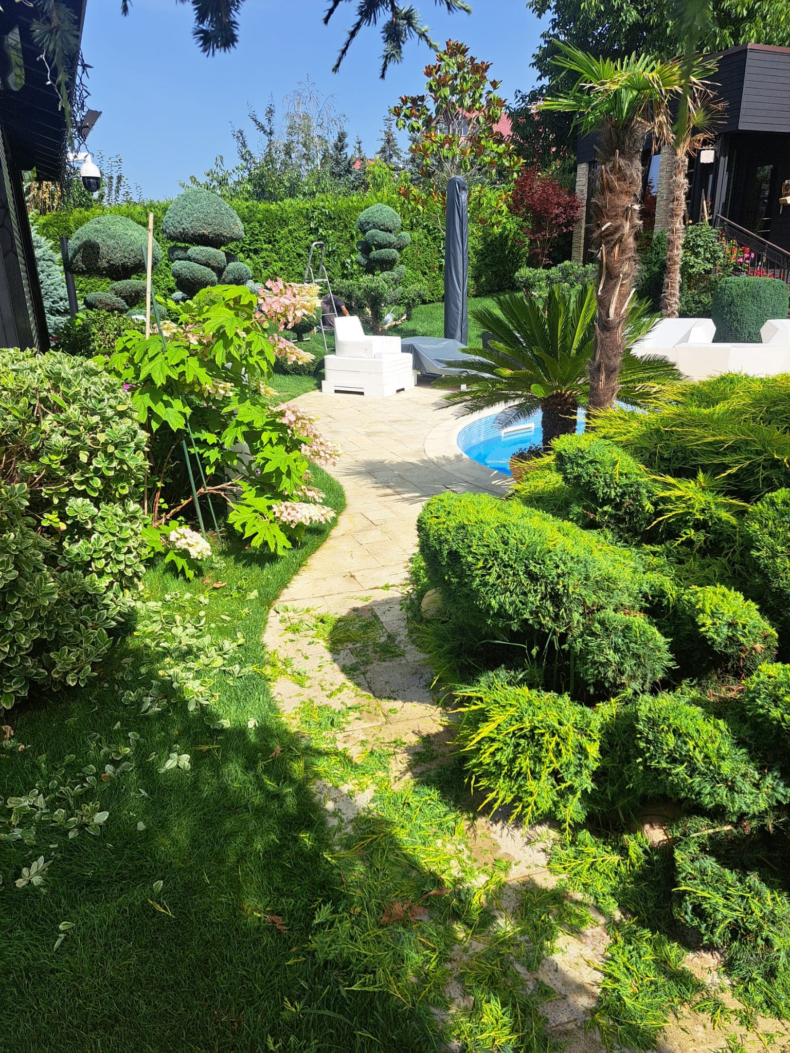 Garden Path with Flowers