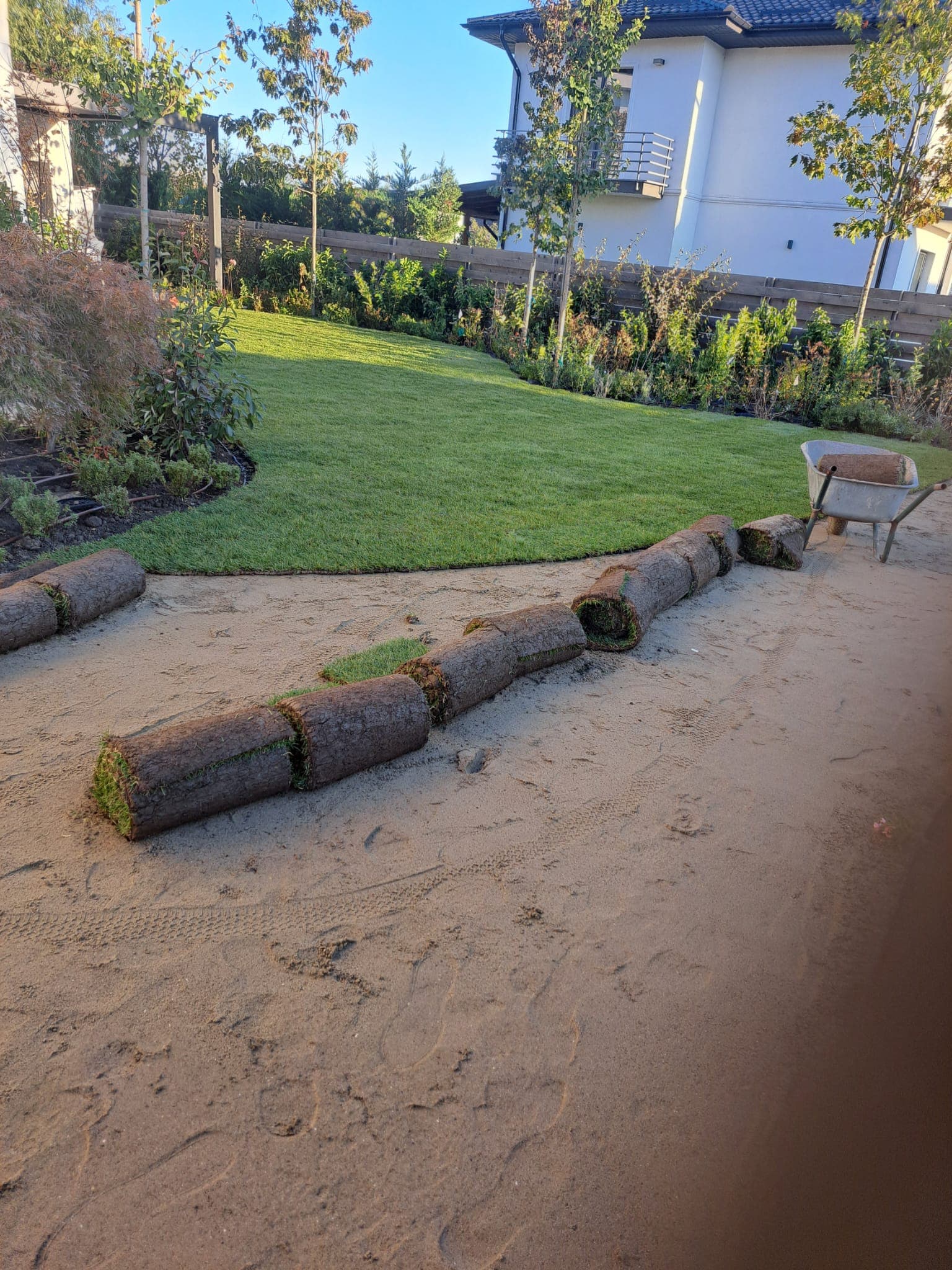 Indoor plants arrangement